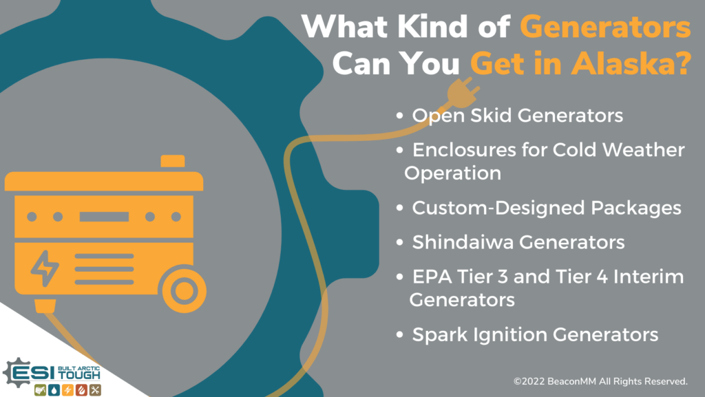 What Kind of Generators Can You Get in Alaska Infographic